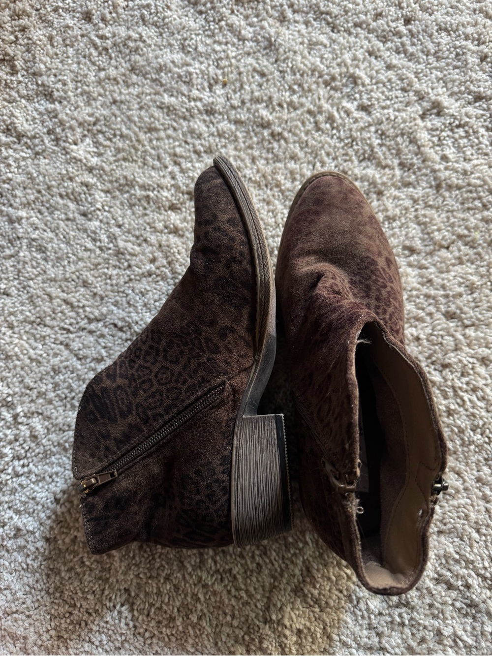 Buckle Very G Gypsy Jazz Leopard Almond Toe Ankle Booties Boots in Chocolate - Picture 5 of 12